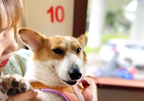 2023娱乐吃瓜爆料,揭秘年度最热吃瓜爆料 第1张 2023娱乐吃瓜爆料,揭秘年度最热吃瓜爆料 第1张